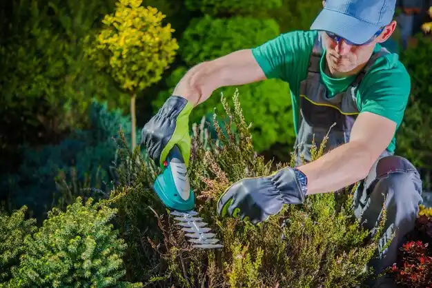 landscaping services Science Hill